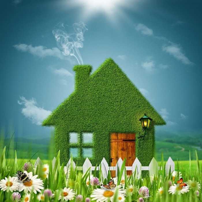 Renovation green greening steps plan three Renovation green greening steps plan three